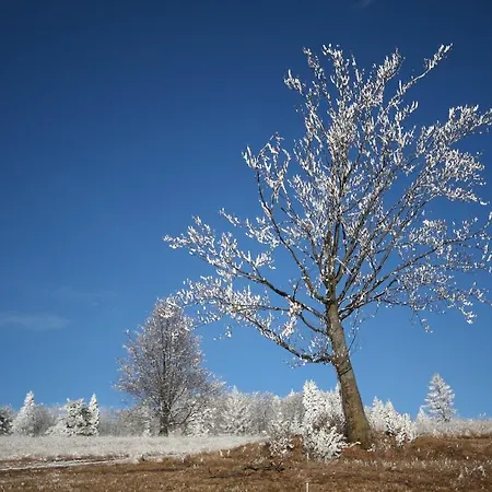 Zazamcze Privat bolig