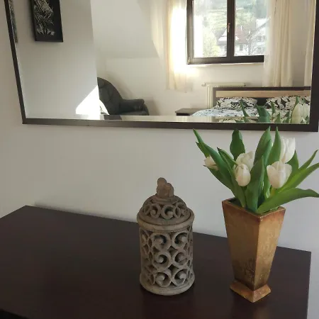 Zazamcze Privat bolig Muszyna